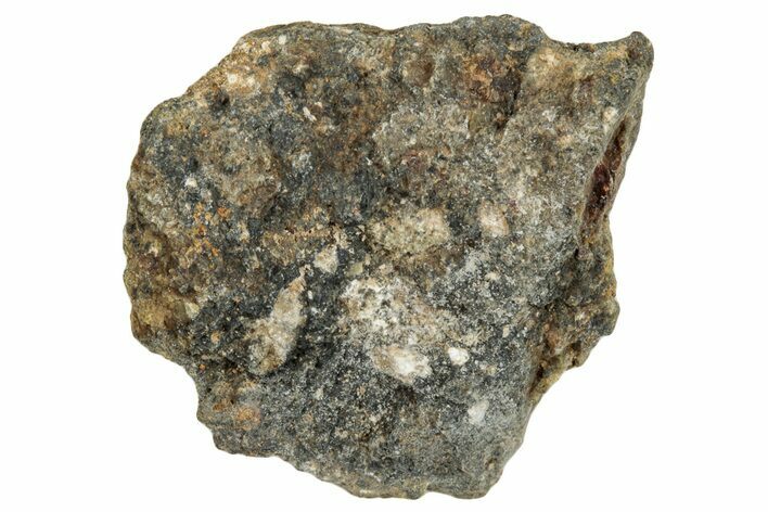 Howardite Meteorite ( g) - Bechar #286980